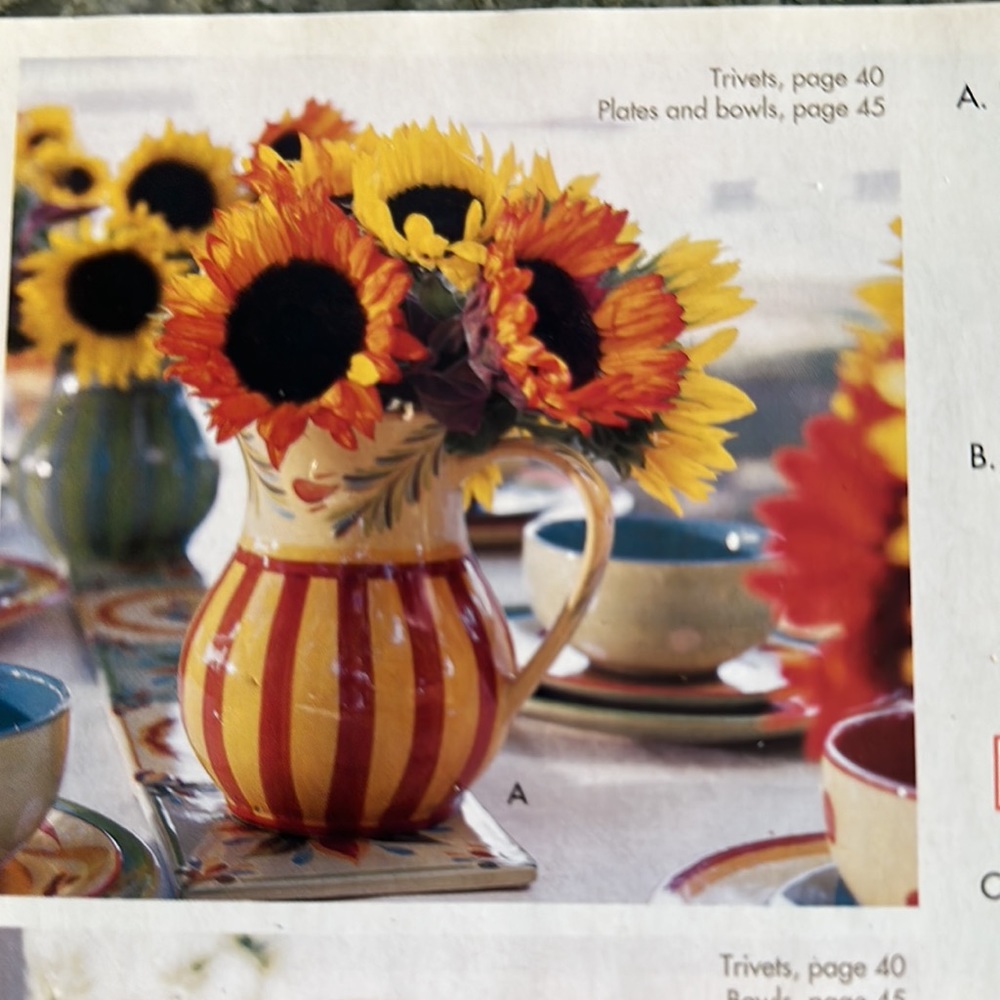 SLAH #40332 Hand Painted Pitcher - Sienna